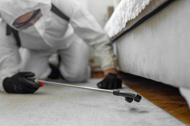Professional Bed Bug Control technician working in Crockett, TX