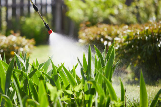 24/7 Emergency Bed Bug Control experts in Crockett, TX