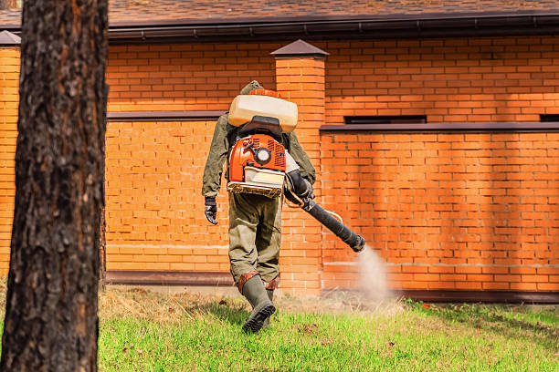 Top rated local Bed Bug Control specialists in Crockett, TX